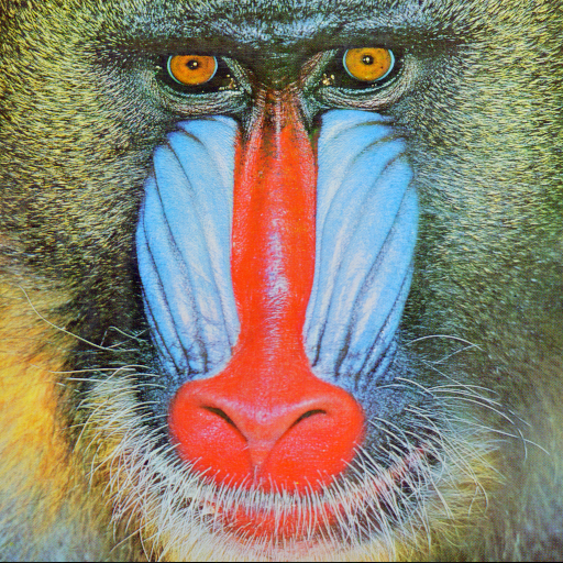 famous mandrill image